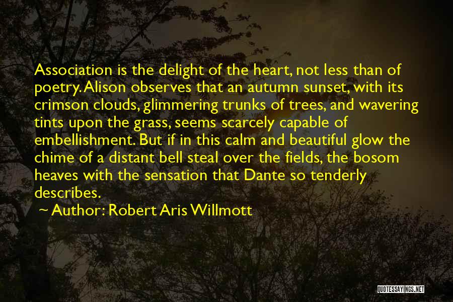A Sunset Quotes By Robert Aris Willmott