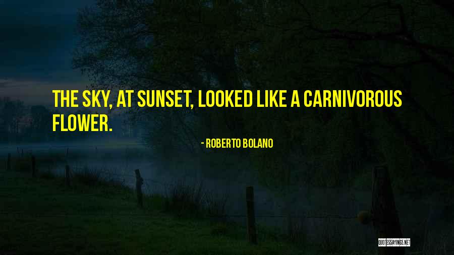 A Sunset Quotes By Roberto Bolano A Sunset Quotes By Roberto Bolano