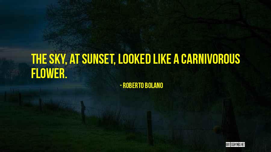 A Sunset Quotes By Roberto Bolano