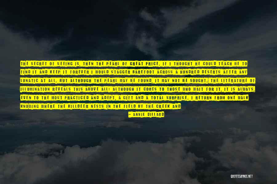 A Surprise Gift Quotes By Annie Dillard A Surprise Gift Quotes By Annie Dillard