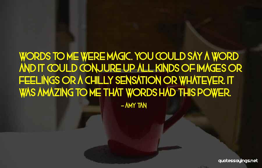 A Tan Quotes By Amy Tan A Tan Quotes By Amy Tan