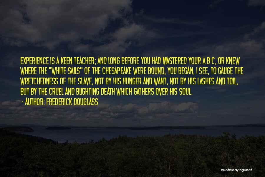 A Teacher's Death Quotes By Frederick Douglass