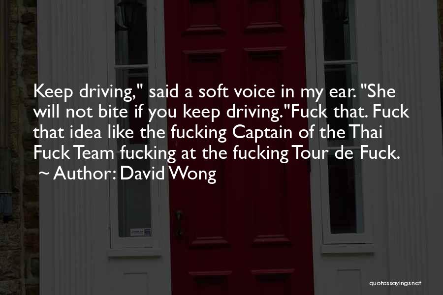 A Team Captain Quotes By David Wong