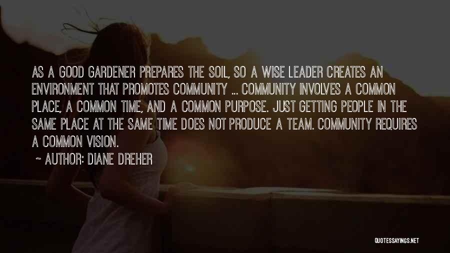 A Team Leader Quotes By Diane Dreher