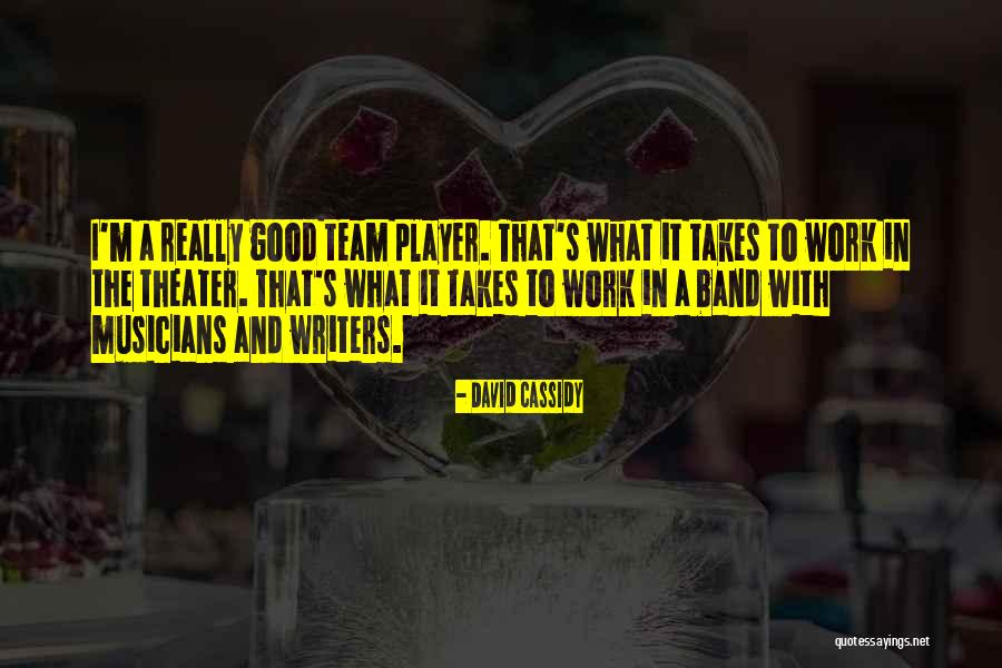 A Team Player Quotes By David Cassidy