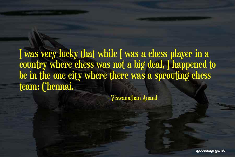 A Team Player Quotes By Viswanathan Anand