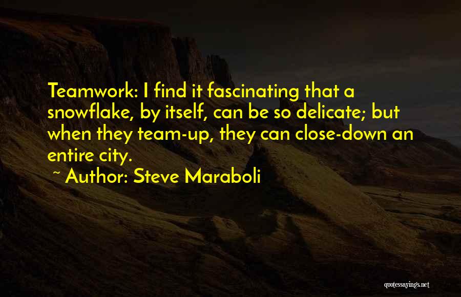 A Teamwork Quotes By Steve Maraboli