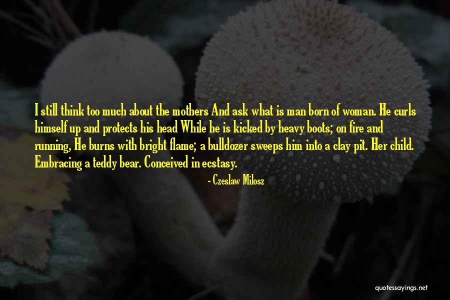 A Teddy Bear Quotes By Czeslaw Milosz A Teddy Bear Quotes By Czeslaw Milosz