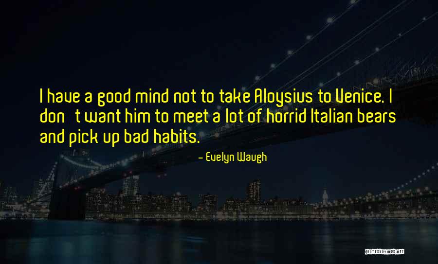 A Teddy Bear Quotes By Evelyn Waugh A Teddy Bear Quotes By Evelyn Waugh