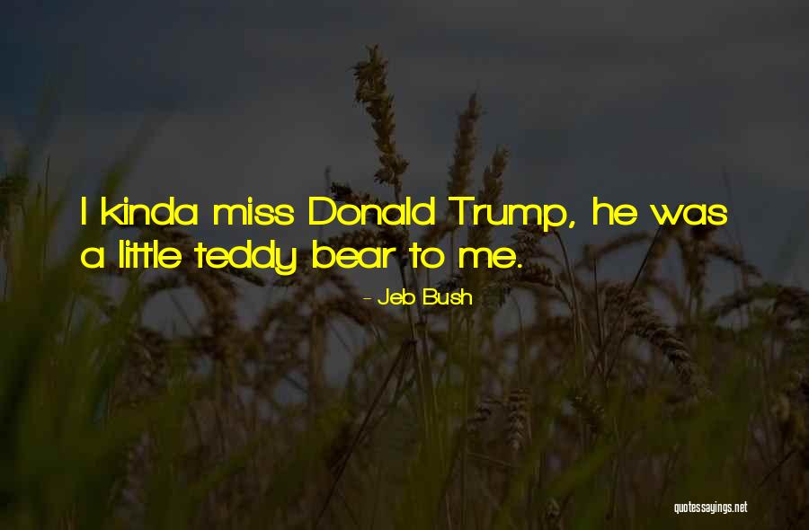 A Teddy Bear Quotes By Jeb Bush A Teddy Bear Quotes By Jeb Bush