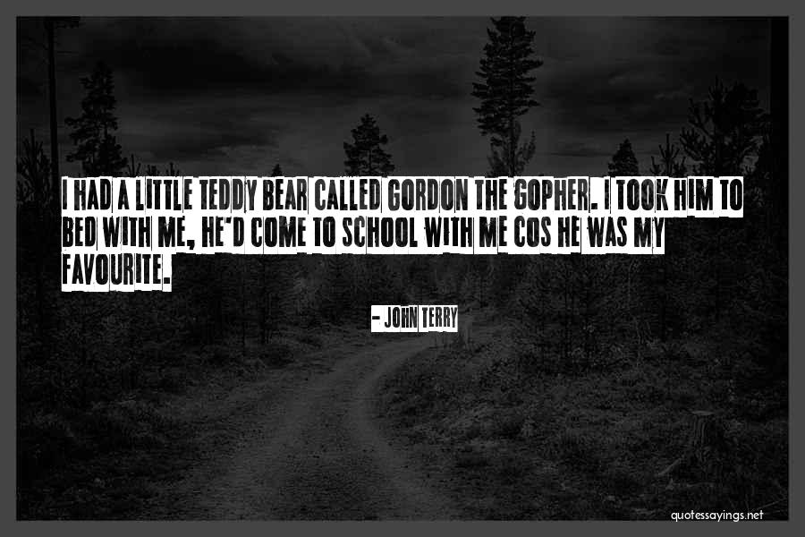A Teddy Bear Quotes By John Terry A Teddy Bear Quotes By John Terry