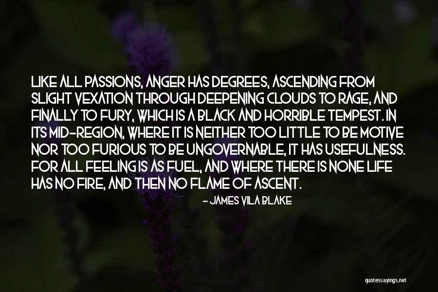 A Tempest Quotes By James Vila Blake A Tempest Quotes By James Vila Blake