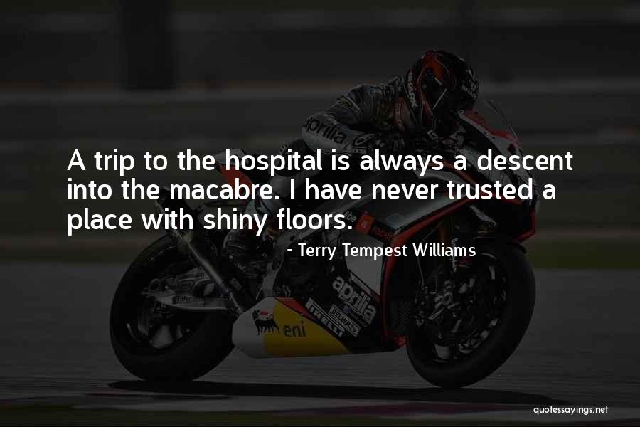 A Tempest Quotes By Terry Tempest Williams A Tempest Quotes By Terry Tempest Williams