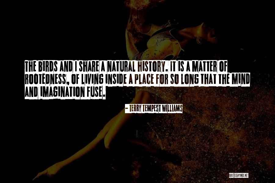 A Tempest Quotes By Terry Tempest Williams A Tempest Quotes By Terry Tempest Williams