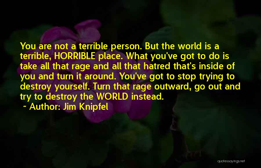 A Terrible Person Quotes By Jim Knipfel