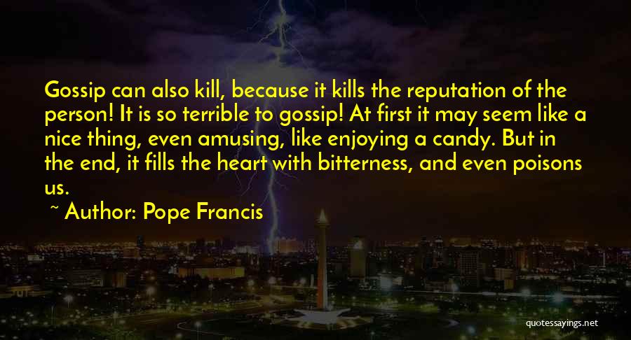 A Terrible Person Quotes By Pope Francis