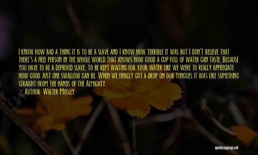 A Terrible Person Quotes By Walter Mosley