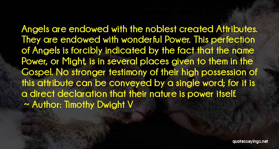 A Testimony Quotes By Timothy Dwight V