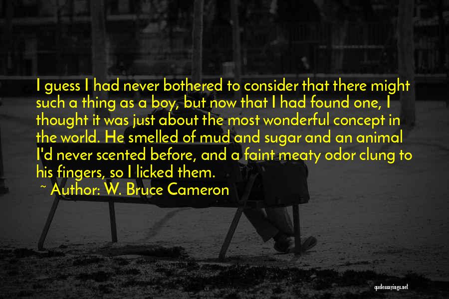 A Thing Quotes By W. Bruce Cameron