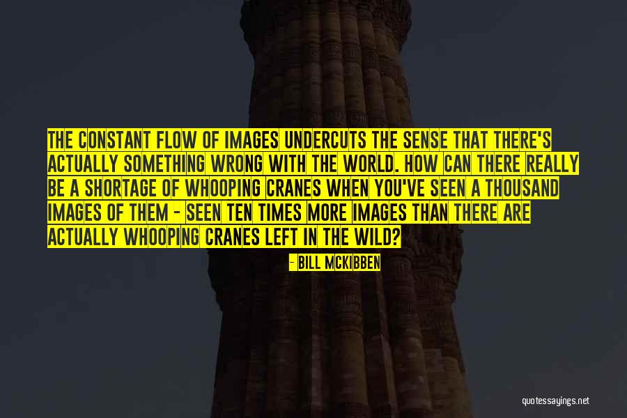 A Thousand Times Quotes By Bill McKibben A Thousand Times Quotes By Bill McKibben