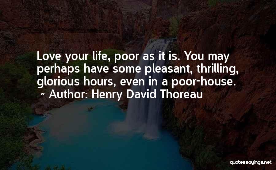 A Thrilling Life Quotes By Henry David Thoreau
