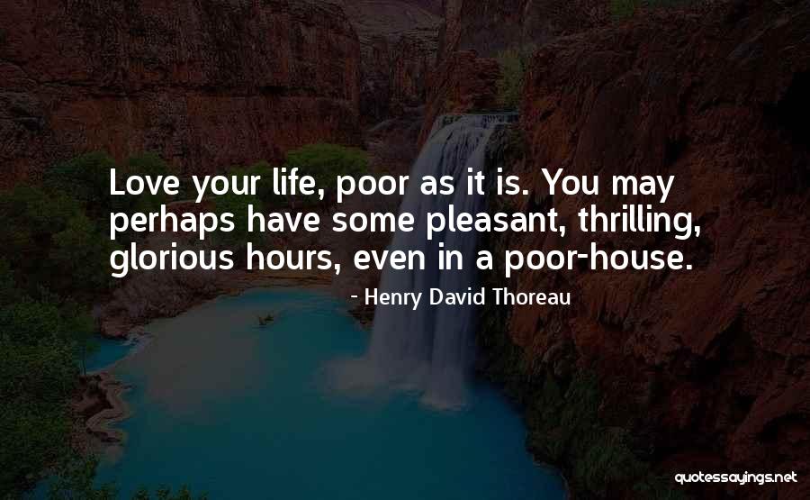 A Thrilling Life Quotes By Henry David Thoreau