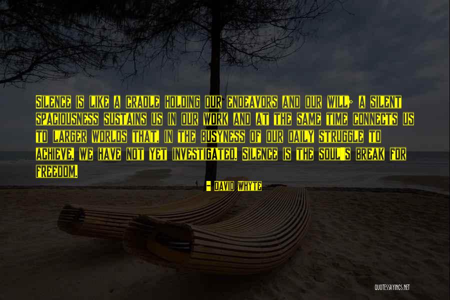 A Time To Break Silence Quotes By David Whyte A Time To Break Silence Quotes By David Whyte