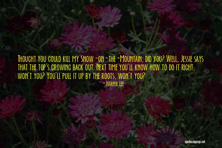 A Time To Kill Courage Quotes By Harper Lee