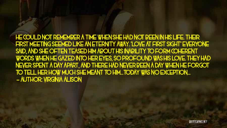 A Time To Remember Quotes By Virginia Alison