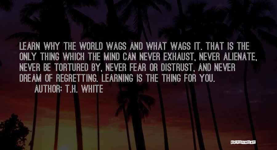 A Tortured Mind Quotes By T.H. White