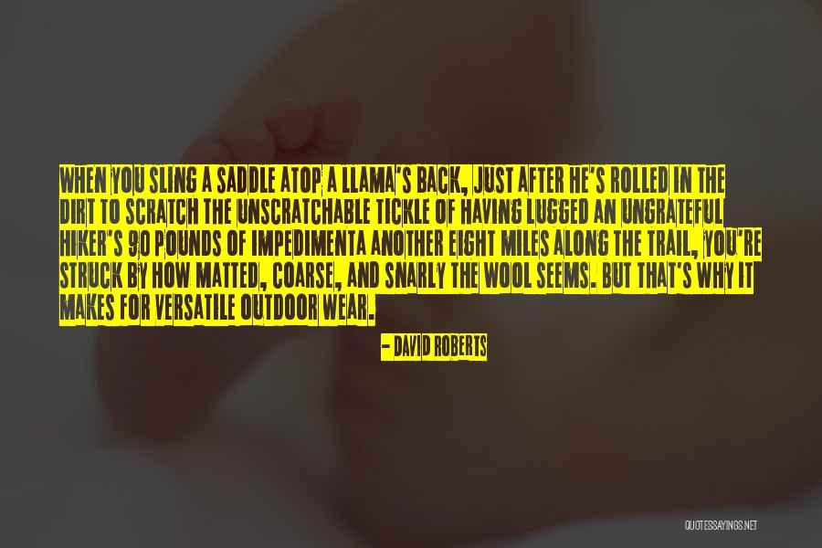 A Trail Quotes By David Roberts A Trail Quotes By David Roberts