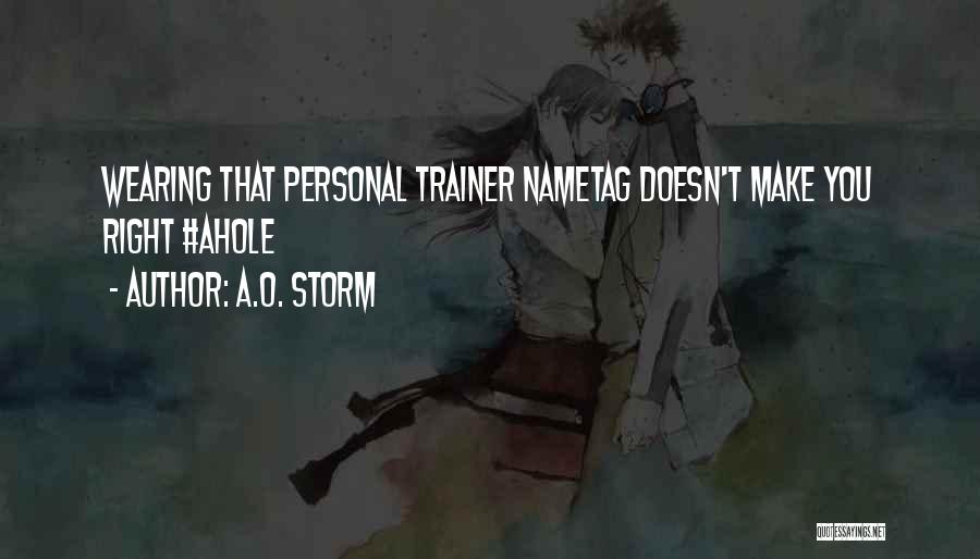 A Trainer Quotes By A.O. Storm