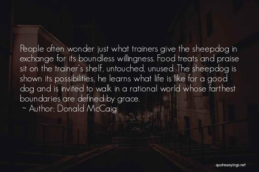 A Trainer Quotes By Donald McCaig