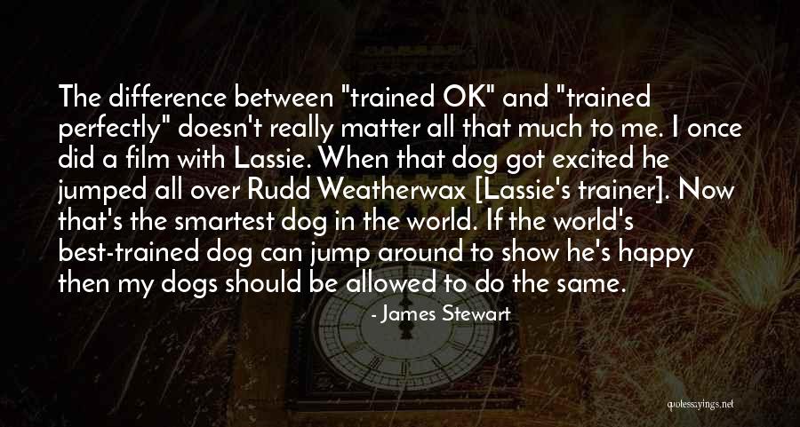 A Trainer Quotes By James Stewart