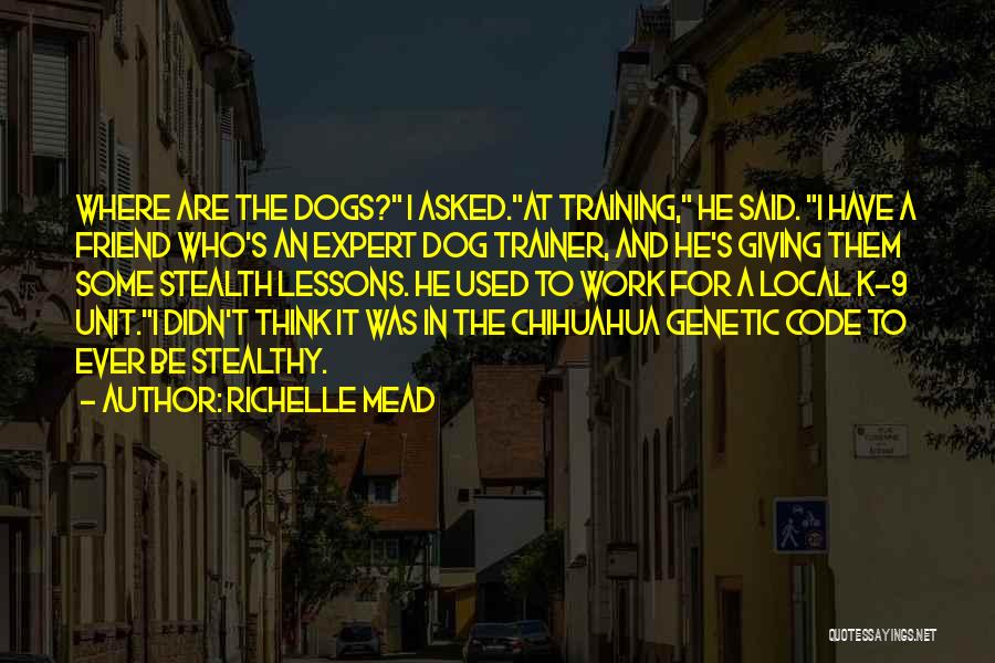 A Trainer Quotes By Richelle Mead