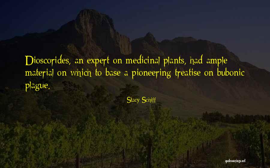 A Treatise Quotes By Stacy Schiff A Treatise Quotes By Stacy Schiff