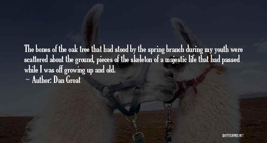 A Tree Branch Quotes By Dan Groat