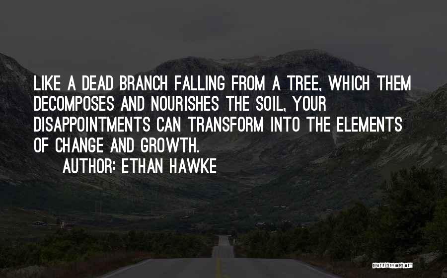 A Tree Branch Quotes By Ethan Hawke