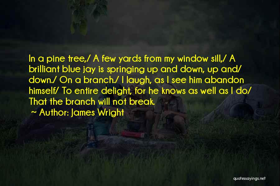 A Tree Branch Quotes By James Wright