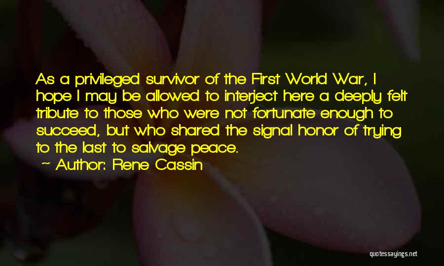 A Tribute Quotes By Rene Cassin