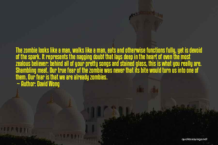 A True Believer Quotes By David Wong