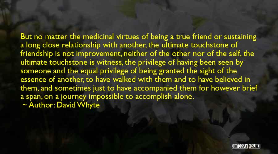 A True Friend Being There Quotes By David Whyte