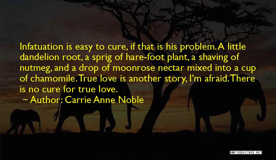 A True Love Story Quotes By Carrie Anne Noble