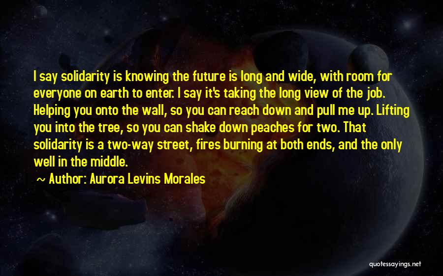 A Two Way Street Quotes By Aurora Levins Morales