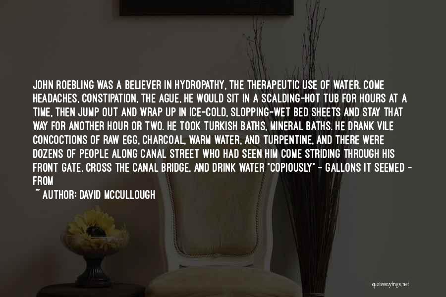 A Two Way Street Quotes By David McCullough