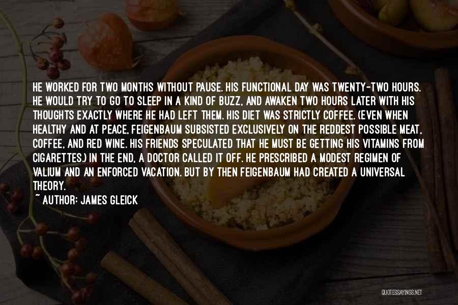 A Vacation Quotes By James Gleick