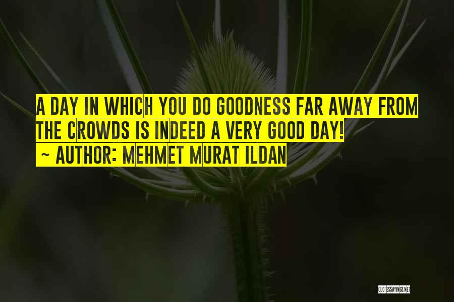 A Very Good Day Quotes By Mehmet Murat Ildan