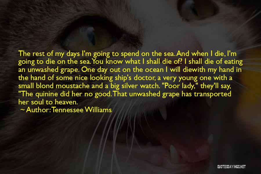 A Very Good Day Quotes By Tennessee Williams