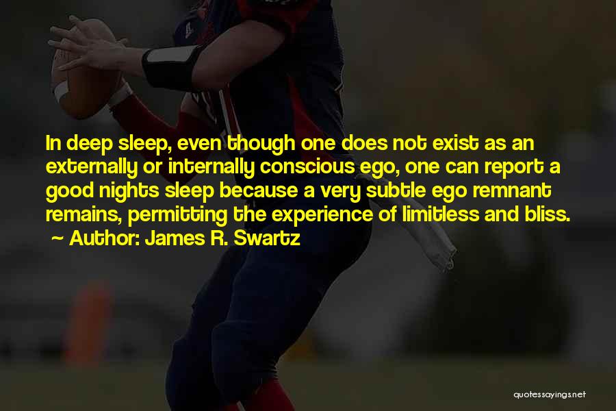 A Very Good Night Quotes By James R. Swartz