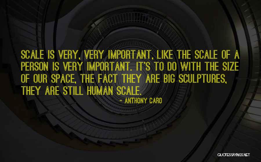 A Very Important Person Quotes By Anthony Caro